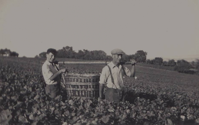 Champagne Jean COMYN - 