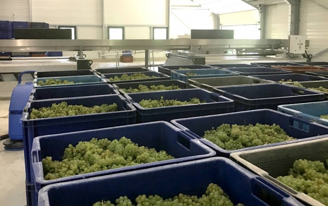 Champagne Jean COMYN - 