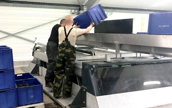 Champagne Jean COMYN - 